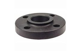 Carbon Steel Threaded Flange Supplier in India